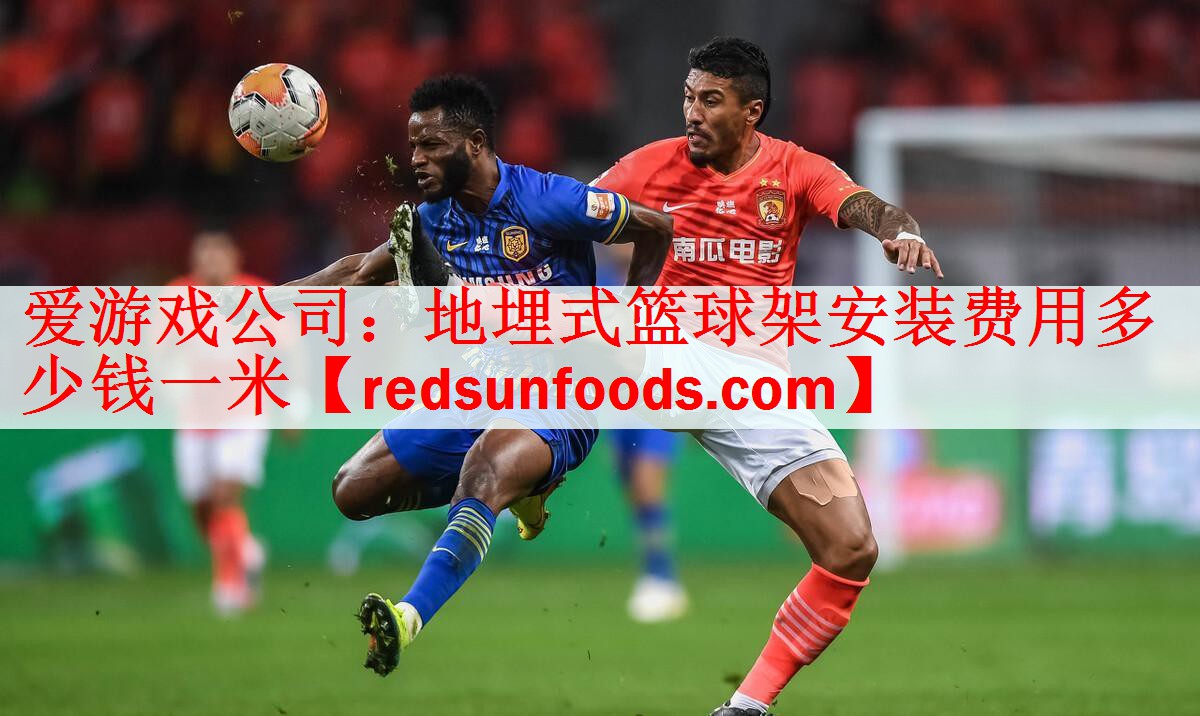 爱游戏公司：地埋式篮球架安装费用多少钱一米