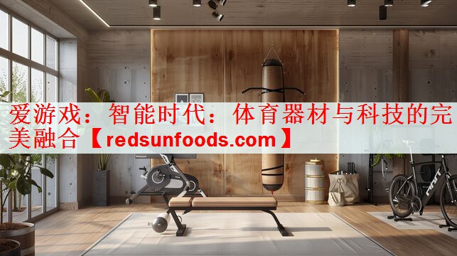 智能时代：体育器材与科技的完美融合